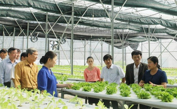 Cả nước c&oacute; hơn 33.000 hợp t&aacute;c x&atilde;