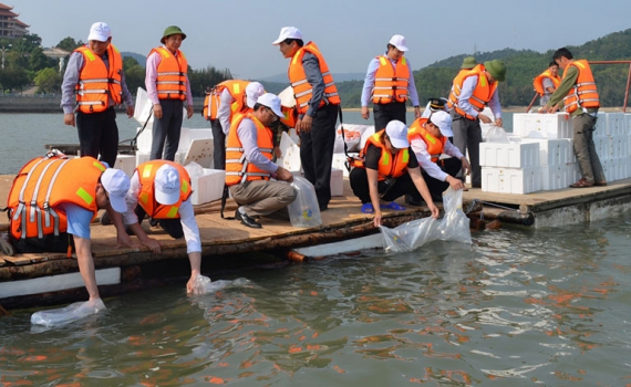 Quy hoạch bảo vệ và khai thác nguồn lợi thủy sản thời kỳ 2021 - 2030, tầm nhìn đến năm 2050