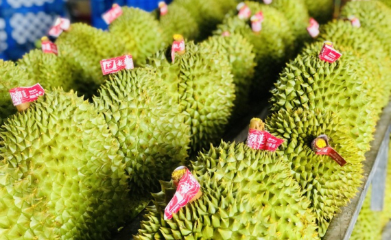 Xuất si&ecirc;u hơn 24 tỷ USD sau 11 th&aacute;ng