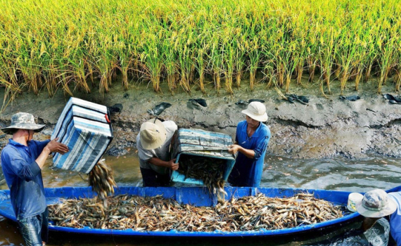 Kế hoạch quốc gia th&iacute;ch ứng với biến đổi kh&iacute; hậu giai đoạn 2021 - 2030, tầm nh&igrave;n đến năm 2050