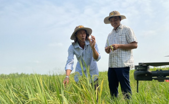 Ng&agrave;nh n&ocirc;ng nghiệp cơ bản đạt v&agrave; vượt c&aacute;c mục ti&ecirc;u đề ra