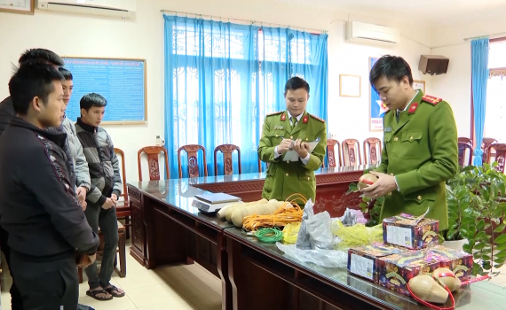 Ninh B&igrave;nh tăng cường đấu tranh với tội phạm về ph&aacute;o nổ
