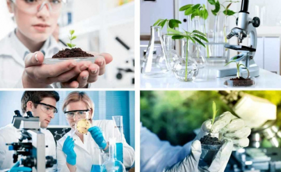 Ph&aacute;t triển c&ocirc;ng nghiệp sinh học trong lĩnh vực bảo vệ m&ocirc;i trường theo hướng bền vững, th&acirc;n thiện