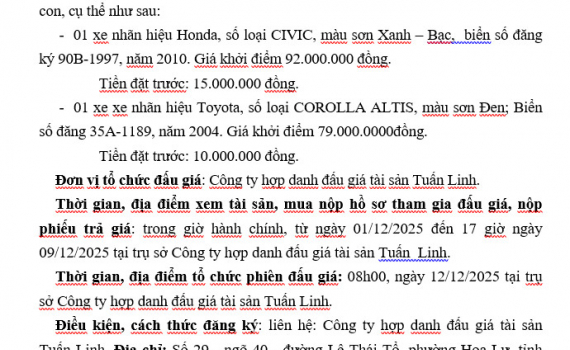 THÔNG BÁO ĐẤU GIÁ TÀI SẢN