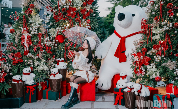 Kh&ocirc;ng kh&iacute; Noel rộn r&agrave;ng tại c&aacute;c qu&aacute;n c&agrave; ph&ecirc; ở Ninh B&igrave;nh