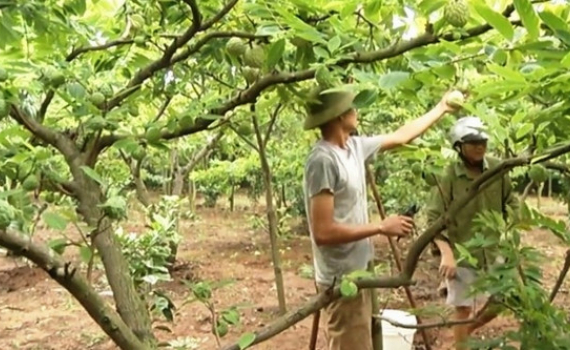 Phấn đấu c&ocirc;ng nhận th&ecirc;m &iacute;t nhất 1.200 sản phẩm thuộc Chương tr&igrave;nh OCOP