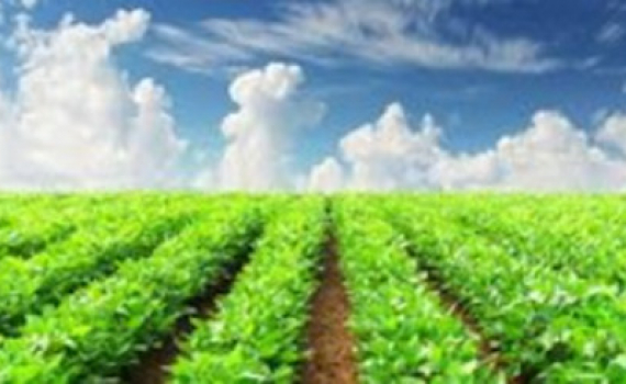 Khởi tạo doanh nghiệp n&ocirc;ng nghiệp từ ch&iacute;nh n&ocirc;ng d&acirc;n