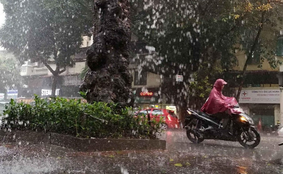 Thời tiết ng&agrave;y 15-1: Cảnh b&aacute;o mưa lớn ở Bắc Bộ v&agrave; Thanh H&oacute;a