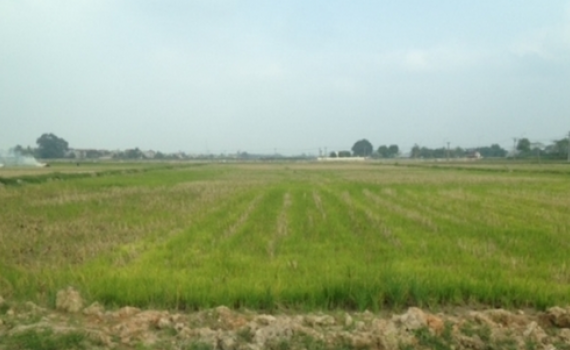 Miễn, giảm tiền sử dụng đất cho người c&oacute; c&ocirc;ng