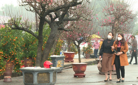 Khai mạc hội chợ hoa xu&acirc;n th&agrave;nh phố Ninh B&igrave;nh