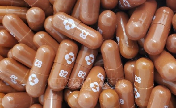 Bộ Y tế ph&acirc;n bổ 450.000 liều thuốc Molnupiravir điều trị F0 c&oacute; kiểm so&aacute;t