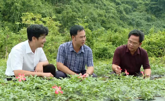 Ninh B&igrave;nh: Dịch vụ n&ocirc;ng nghiệp ph&aacute;t triển đa dạng