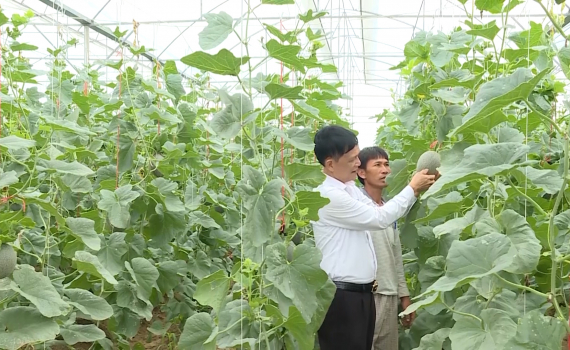 Y&ecirc;n M&ocirc;: Thu nhập b&igrave;nh qu&acirc;n đầu người đạt 54,5 triệu đồng/năm