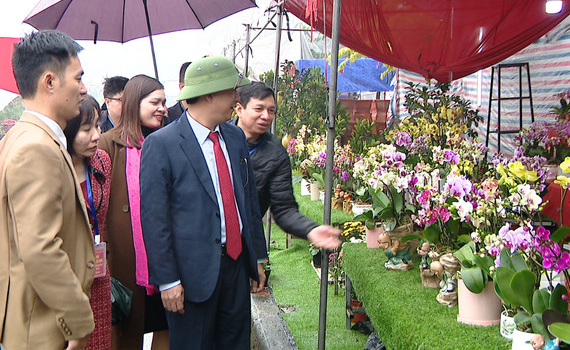 Th&agrave;nh phố Ninh B&igrave;nh khai mạc Chợ hoa Xu&acirc;n Q&uacute;y M&atilde;o 2023 