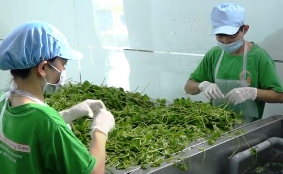 Tạo cơ hội ph&aacute;t triển kinh tế tập thể, hợp t&aacute;c x&atilde;