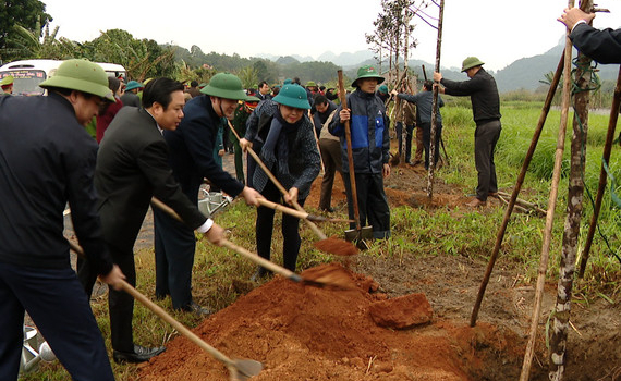 C&aacute;c địa phương, đơn vị ph&aacute;t động Tết trồng c&acirc;y Xu&acirc;n Qu&yacute; M&atilde;o