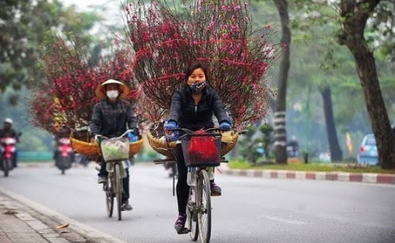 Chủ động ứng ph&oacute;, kh&ocirc;ng để dịch chồng dịch trong dịp Tết