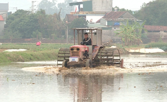 N&ocirc;ng d&acirc;n Ninh B&igrave;nh xuống đồng sản xuất ng&agrave;y Xu&acirc;n