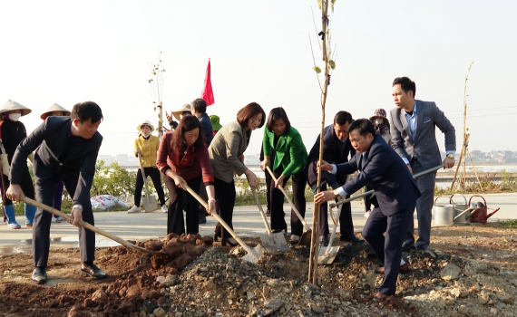 Ra qu&acirc;n trồng đường c&acirc;y phụ nữ l&agrave;m đẹp cảnh quan