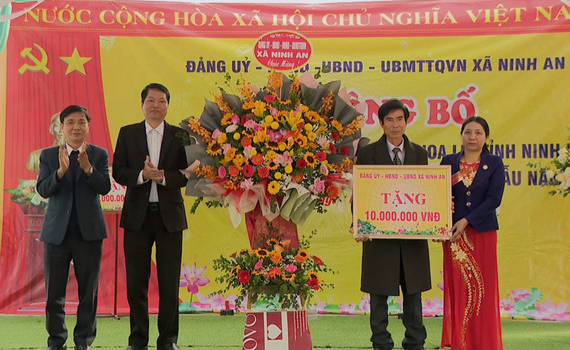 Th&ocirc;n Xu&acirc;n Mai, x&atilde; Ninh An đạt chuẩn khu d&acirc;n cư n&ocirc;ng th&ocirc;n mới kiểu mẫu