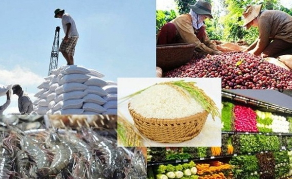 N&ocirc;ng nghiệp lu&ocirc;n l&agrave; 'trụ đỡ bảo hiểm' về mặt x&atilde; hội