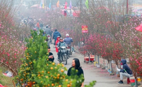 Thời tiết h&ocirc;m nay (31-1): Miền Bắc trời r&eacute;t, s&aacute;ng v&agrave; đ&ecirc;m xuất hiện mưa ph&ugrave;n