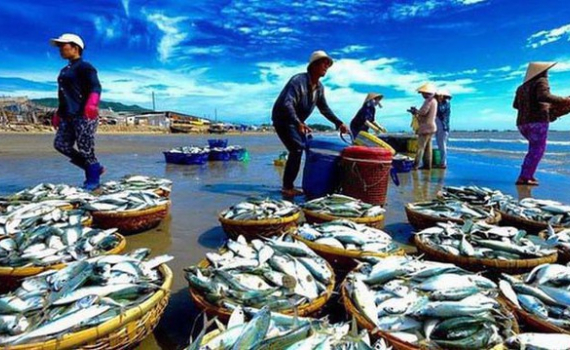 Chương tr&igrave;nh quốc gia bảo vệ v&agrave; ph&aacute;t triển nguồn lợi thủy sản đến năm 2030