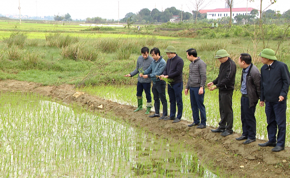 Sở N&ocirc;ng nghiệp v&agrave; Ph&aacute;t triển n&ocirc;ng th&ocirc;n kiểm tra ph&ograve;ng chống r&eacute;t đảm bảo sản xuất n&ocirc;ng nghiệp