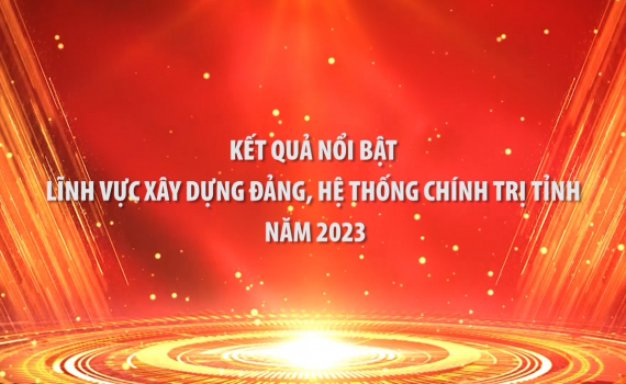 Kết quả nổi bật lĩnh vực x&acirc;y dựng Đảng, hệ thống ch&iacute;nh trị tỉnh Ninh B&igrave;nh năm 2023