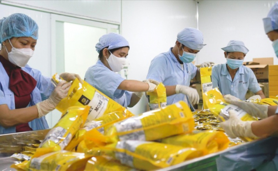 Năm 2023, thu nhập b&igrave;nh qu&acirc;n của người lao động đạt 7,1 triệu đồng/ th&aacute;ng