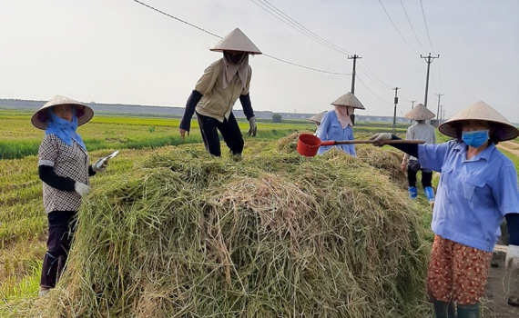 Th&uacute;c đẩy kinh tế n&ocirc;ng nghiệp xanh
