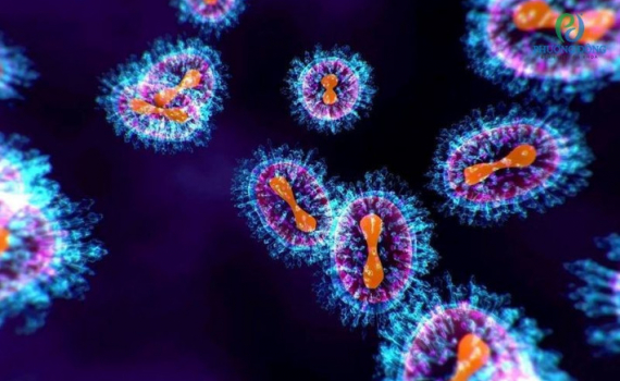 Nh&oacute;m người n&agrave;o dễ c&oacute; nguy cơ nhiễm virus g&acirc;y vi&ecirc;m phổi tr&ecirc;n người?