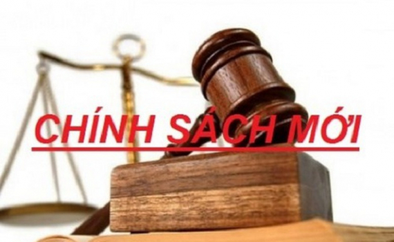 Ch&iacute;nh s&aacute;ch mới c&oacute; hiệu lực từ th&aacute;ng 1/2025