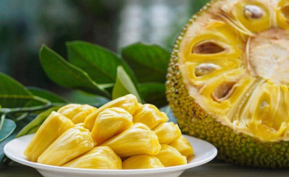 5 lợi &iacute;ch đ&aacute;ng kinh ngạc từ quả m&iacute;t đối với sức khỏe