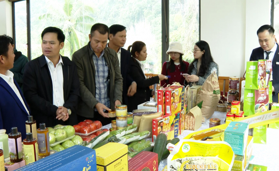 Hiệu quả k&eacute;p từ chương tr&igrave;nh OCOP 