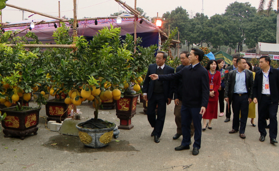 Khai mạc Hội chợ hoa xu&acirc;n Ất Tỵ 2025