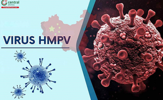 Gi&aacute;m s&aacute;t để ngăn chặn dịch bệnh từ cửa khẩu dịp Tết Nguy&ecirc;n đ&aacute;n Ất Tỵ