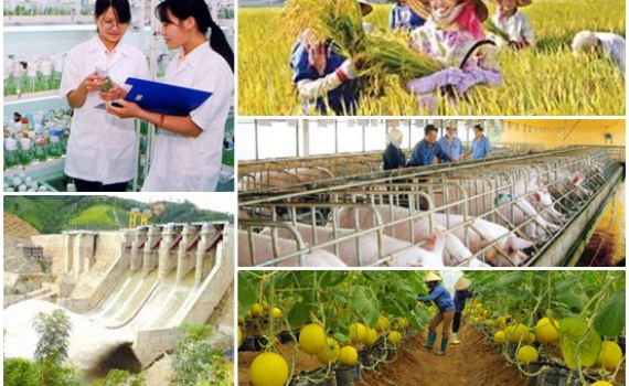 Sử dụng tr&iacute; tuệ nh&acirc;n tạo để giải đ&aacute;p thắc mắc về Tổng điều tra n&ocirc;ng th&ocirc;n, n&ocirc;ng nghiệp năm 2025