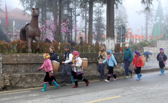 Thời tiết h&ocirc;m nay (31-1): Kh&ocirc;ng kh&iacute; lạnh g&acirc;y r&eacute;t đậm tại v&ugrave;ng n&uacute;i