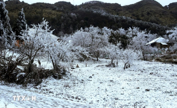 Thời tiết h&ocirc;m nay (23-1): H&agrave; Nội trời r&eacute;t đậm, r&eacute;t hại, T&acirc;y Bắc c&oacute; nơi dưới 6 độ C