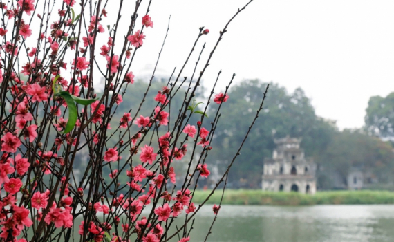 Thời tiết h&ocirc;m nay (30-1): Trời ẩm, sương m&ugrave;, miền Bắc sắp chuyển mưa r&eacute;t