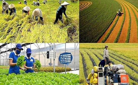 Ch&iacute;nh s&aacute;ch mới c&oacute; hiệu lực từ th&aacute;ng 1/2026