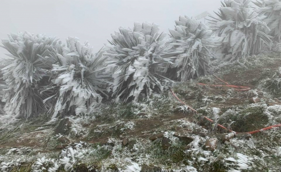 Thời tiết h&ocirc;m nay (6-1): Miền Bắc đ&oacute;n đợt kh&ocirc;ng kh&iacute; lạnh, trời r&eacute;t đậm, c&oacute; nơi r&eacute;t hại