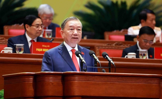 D&acirc;n l&agrave; gốc