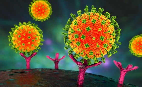 Ứng ph&oacute; dịch virus Nipah: Nhiều nước ch&acirc;u &Aacute; n&acirc;ng mức cảnh gi&aacute;c