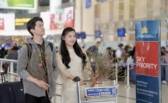 Vietnam Airlines vận chuyển mai đ&agrave;o Tết Nguy&ecirc;n đ&aacute;n B&iacute;nh Ngọ 2026