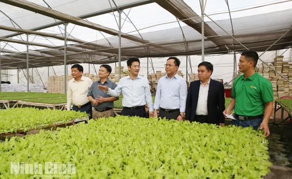 Đồng ch&iacute; Ph&oacute; Chủ tịch UBND tỉnh Trần Anh Dũng kiểm tra sản xuất n&ocirc;ng nghiệp tại phường Ph&ugrave; V&acirc;n v&agrave; x&atilde; Nh&acirc;n H&agrave;