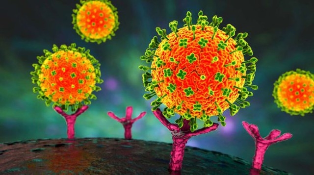 virus_10025927012026.jpg