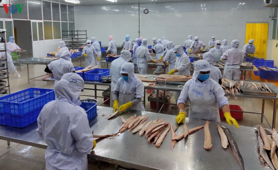 DN thủy sản với EVFTA: Đ&ograve;i hỏi nghi&ecirc;m ngặt truy suất nguồn gốc