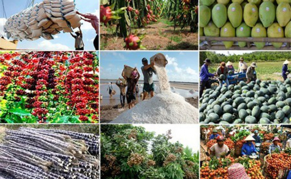 Doanh nghiệp Việt t&igrave;m &ldquo;chi&ecirc;u&rdquo; để đối ph&oacute; với đại dịch Covid-19
